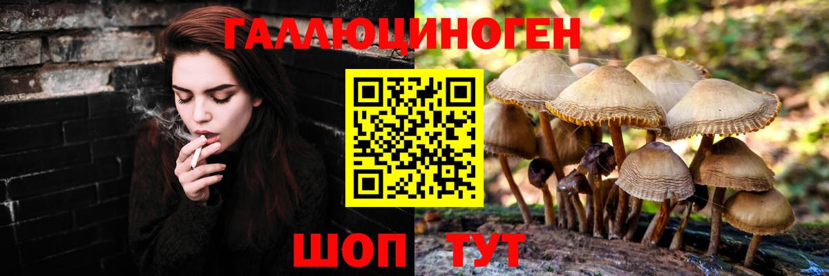 Находка  Псилоцибиновые грибы прущие грибы  Вход с VPN 